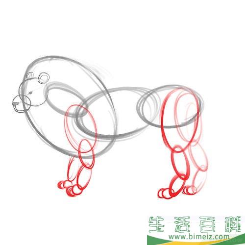 怎么画狮子