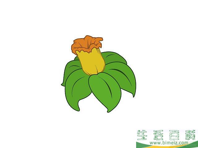 怎么画花