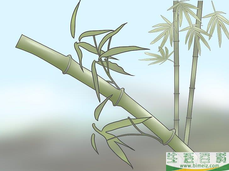 怎么制作雨声棒
