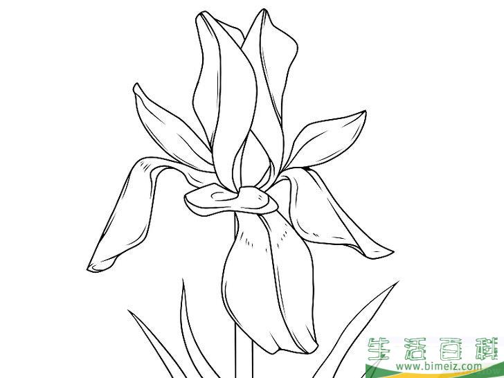 怎么画花