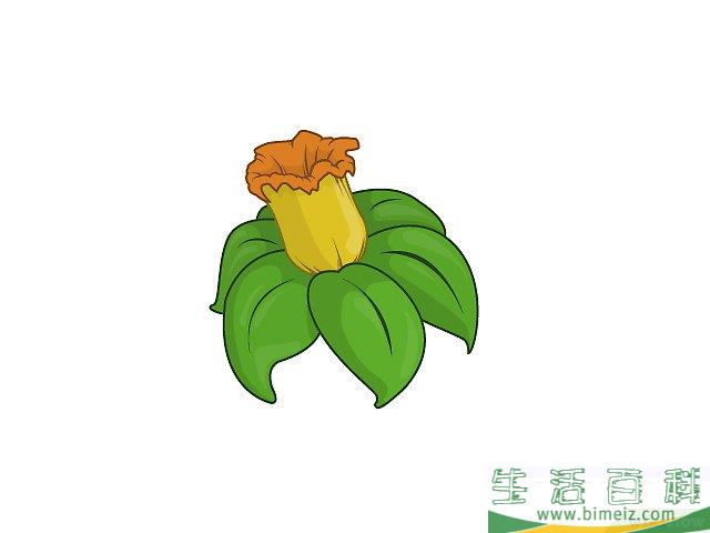 怎么画花