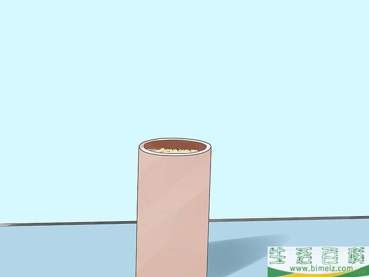 怎么捕捉蟋蟀