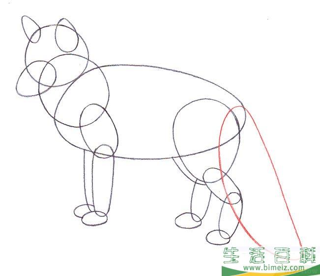 怎么画狐狸