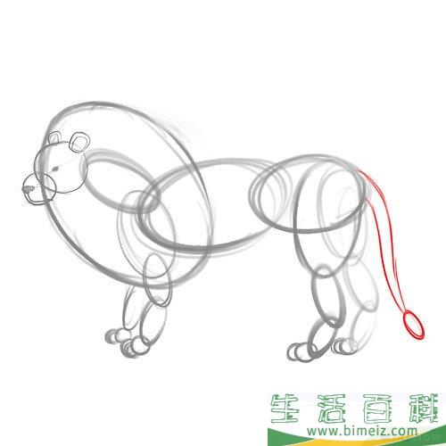 怎么画狮子