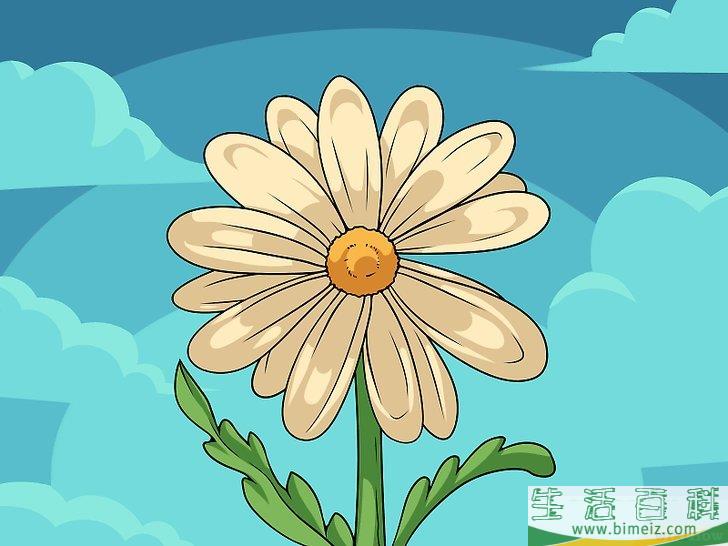 怎么画花