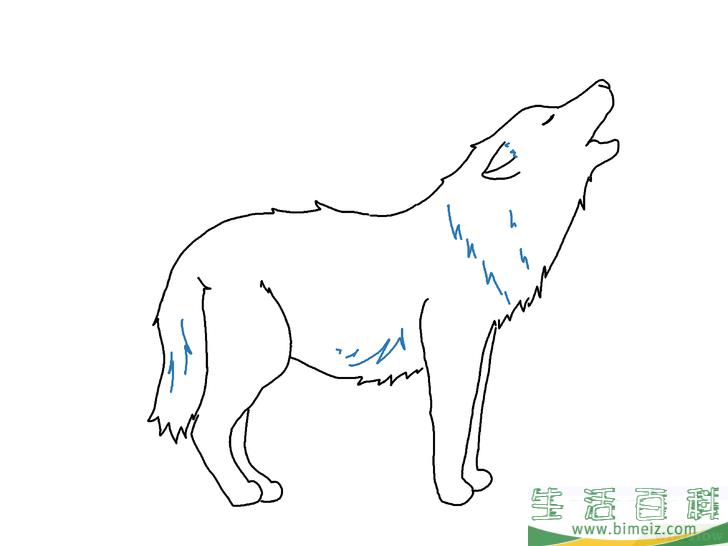 怎么画狼