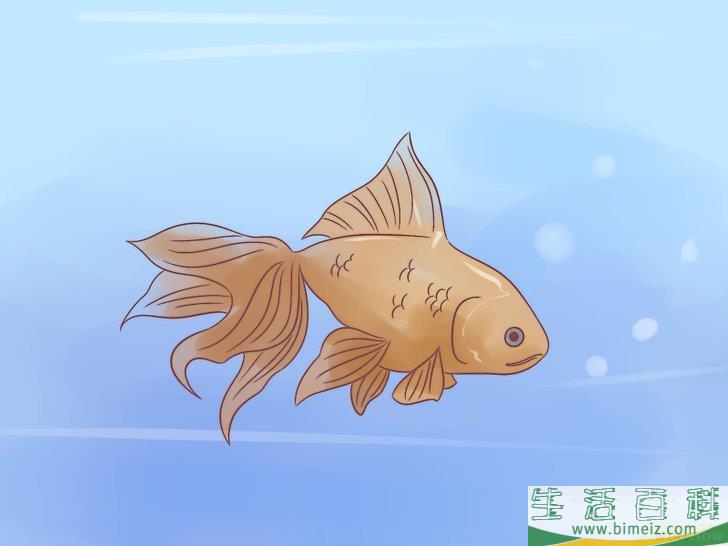 怎么祝别人好运