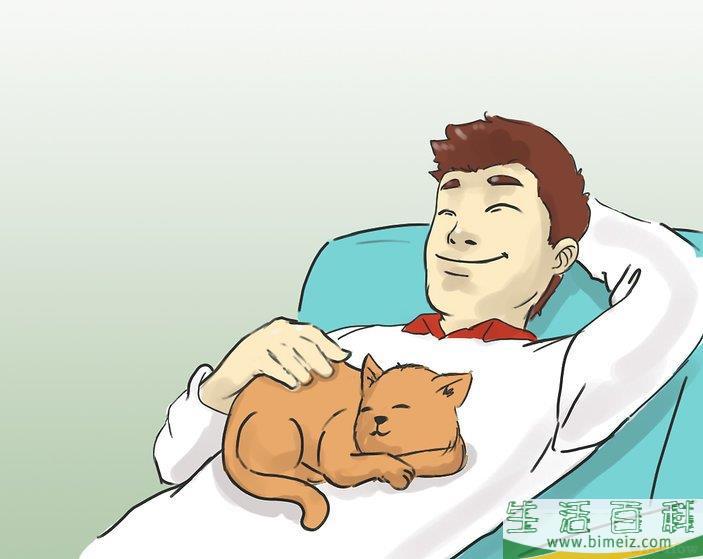 怎么不让你的猫咪接近圣诞树