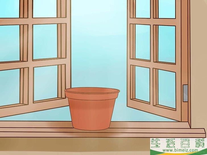 怎么种辣椒