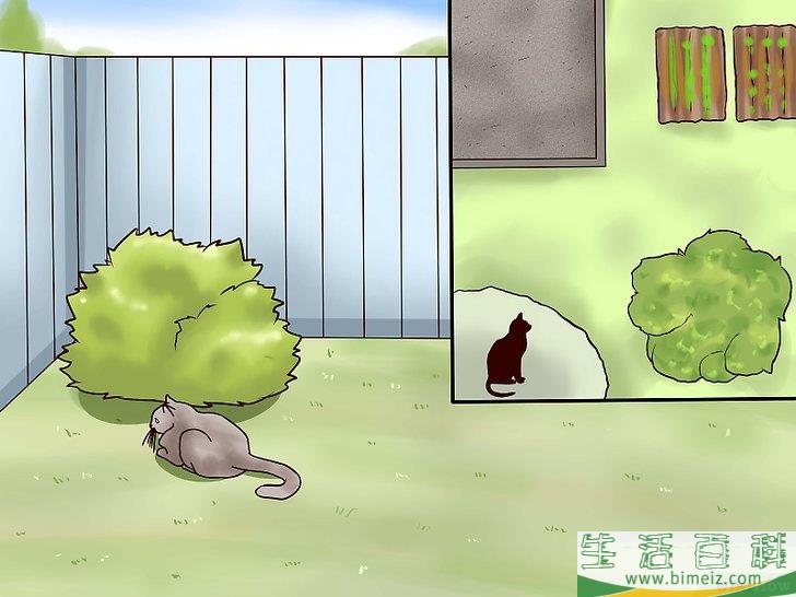 怎么驱赶猫