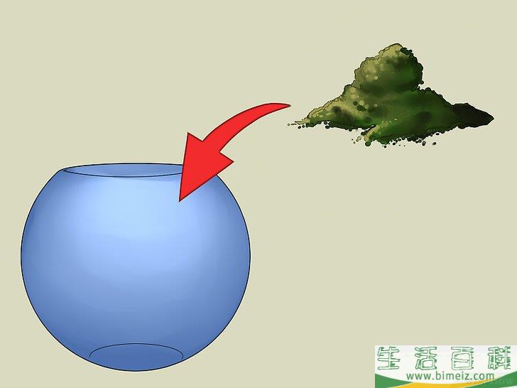 怎么建造自维持的生态系统