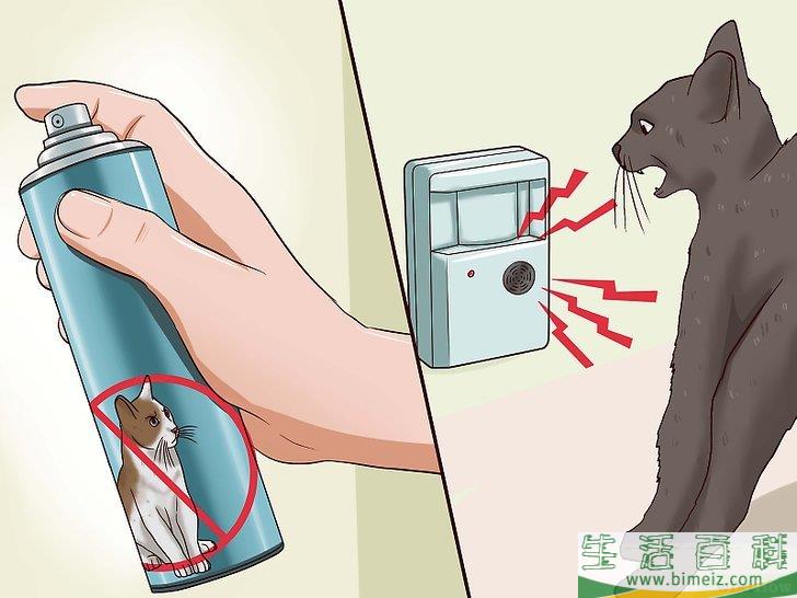 怎么驱赶猫