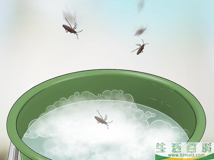 怎么清除室外的臭虫