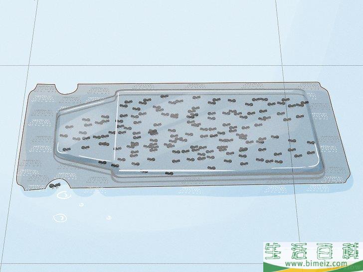 怎么除去小蚂蚁
