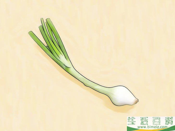 怎么种植大葱