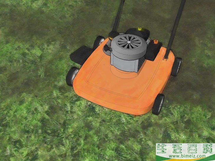 怎么清除蟋蟀