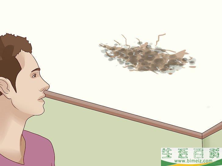 怎么清除天花板上的霉菌
