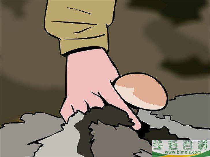 怎么种蘑菇