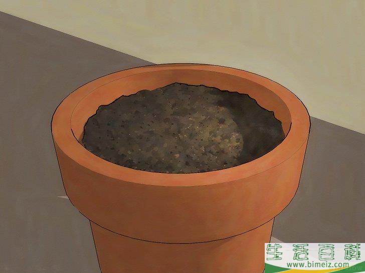 怎么种植大葱