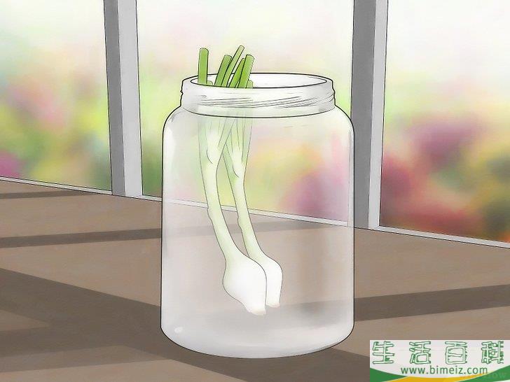 怎么种植大葱