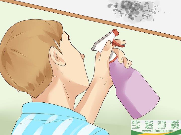 怎么清除天花板上的霉菌