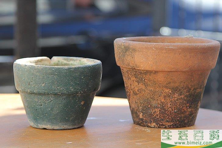 怎么照顾鲜花