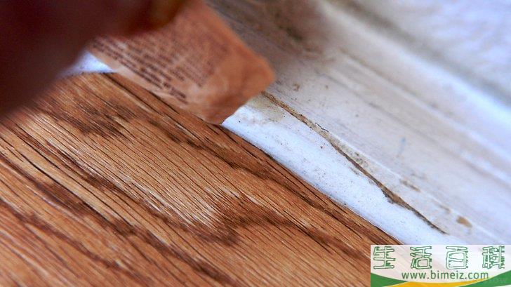 怎么使用天然方法去除蚂蚁