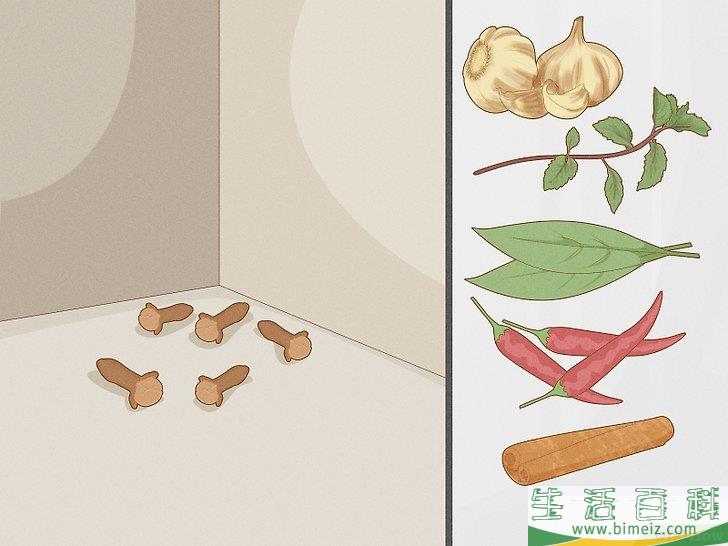 怎么除去小蚂蚁
