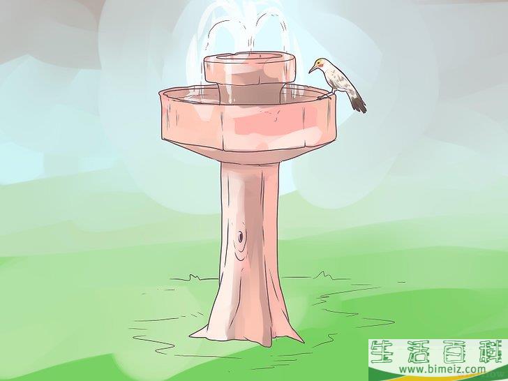 怎么把啄木鸟吸引到你的庭院中来