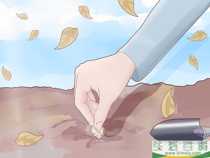 怎么种植大蒜