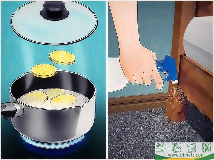 怎么去除屋子周围的蜱虫