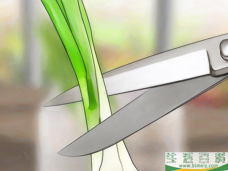 怎么种植大葱