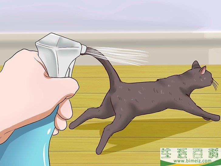 怎么驱赶猫