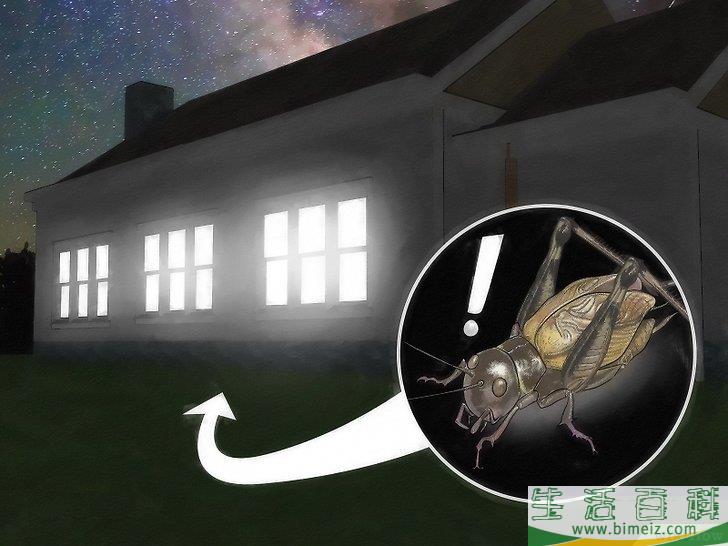 怎么清除蟋蟀