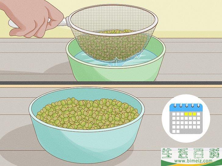 怎么种植幼芽