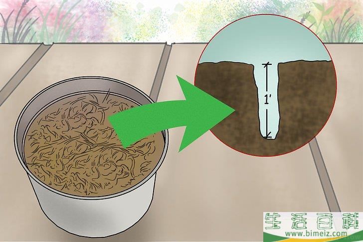 怎么种蓝莓