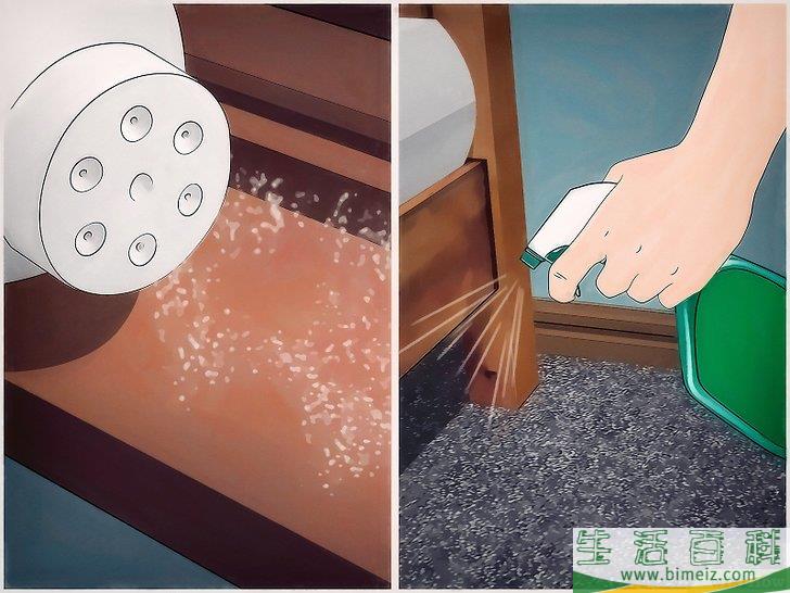 怎么去除屋子周围的蜱虫