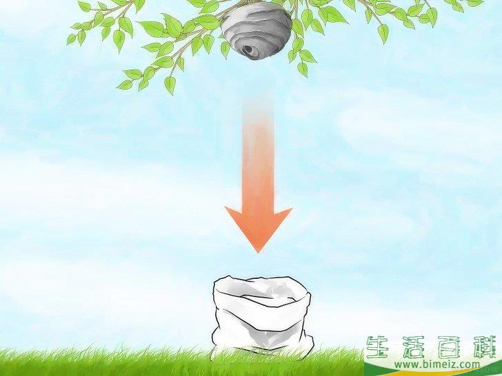 怎么摆脱大黄蜂