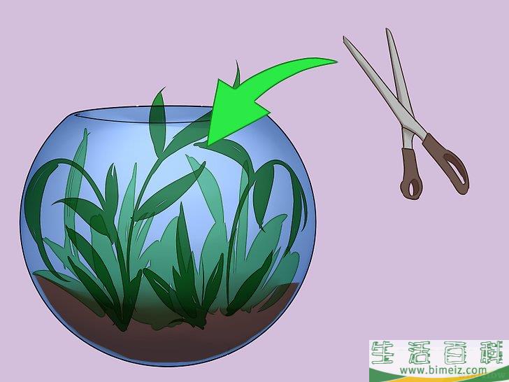 怎么建造自维持的生态系统
