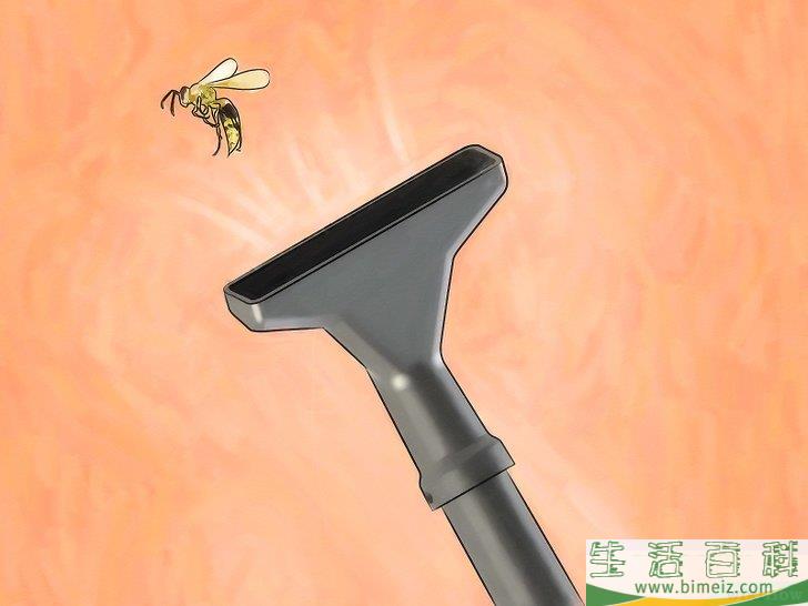 怎么摆脱大黄蜂