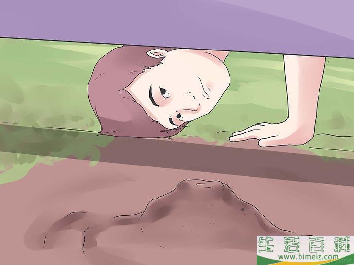 怎么去除蚂蚁