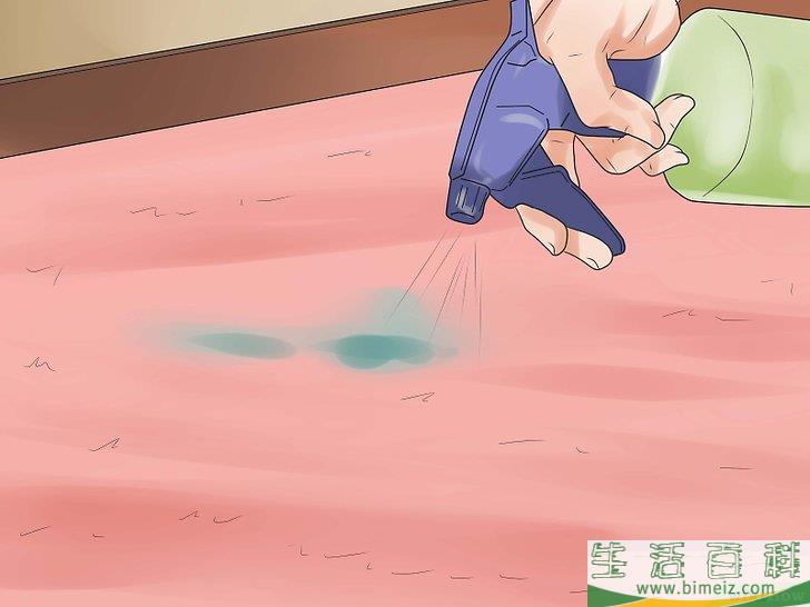 怎么清除地毯上的宠物尿渍