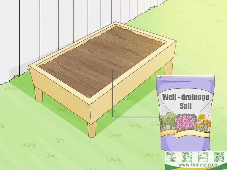 怎么种植薰衣草