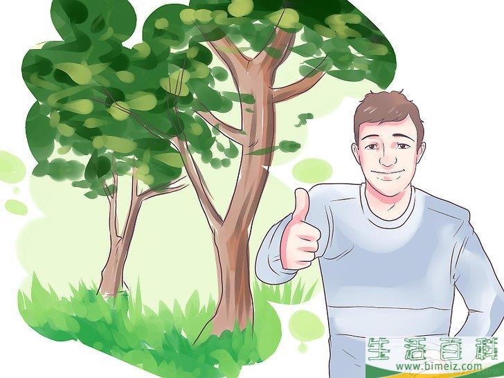 怎么把啄木鸟吸引到你的庭院中来