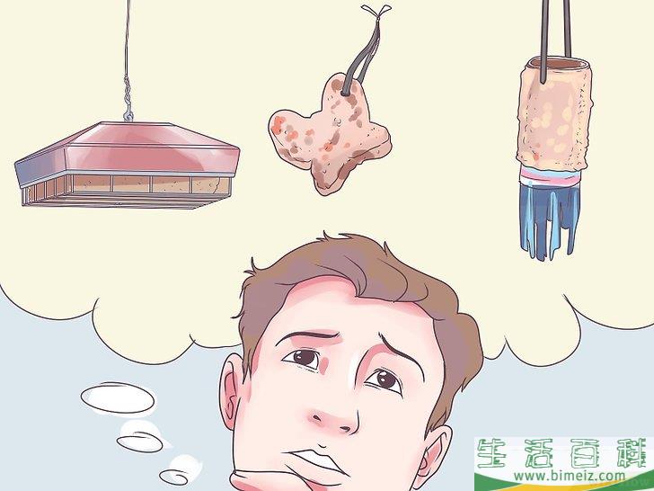 怎么把啄木鸟吸引到你的庭院中来