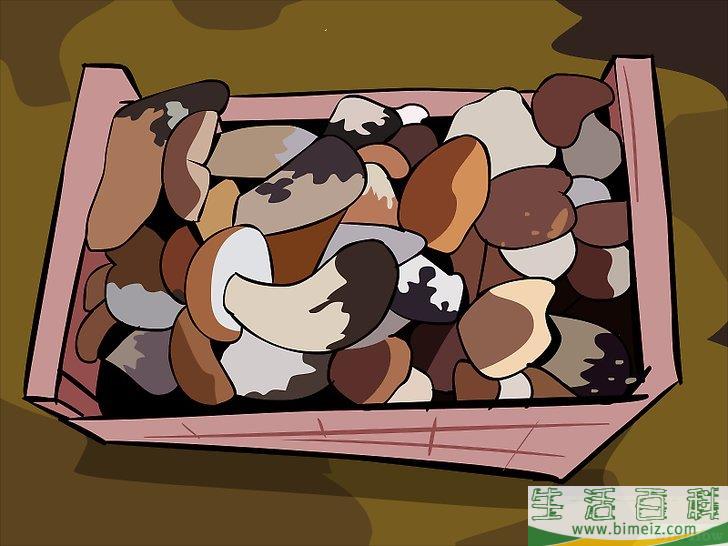 怎么种蘑菇