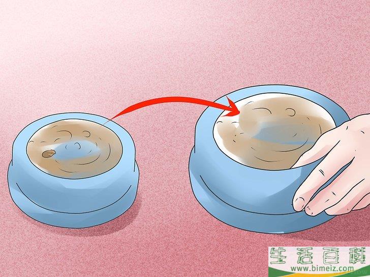 怎么去除蚂蚁
