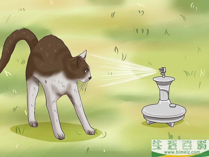 怎么驱赶猫