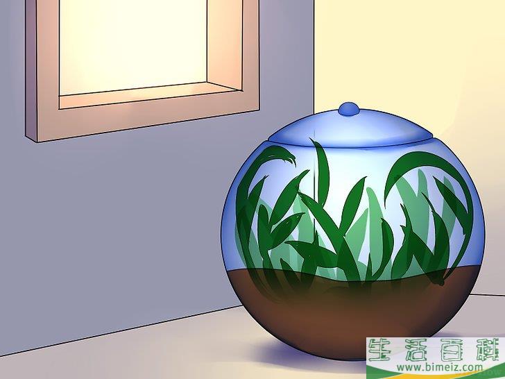怎么建造自维持的生态系统