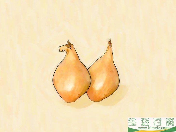 怎么种植大葱
